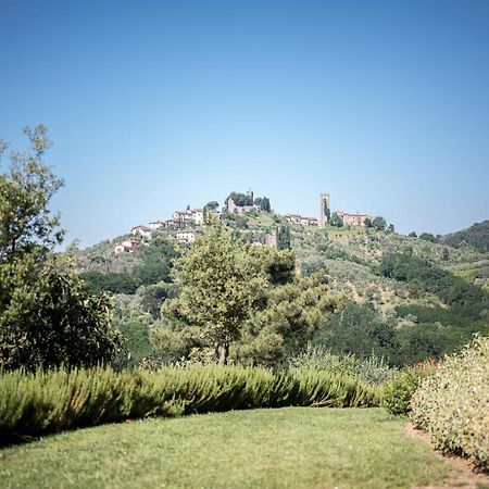 Terre di Cocomo Borgo a Buggiano Eksteriør billede