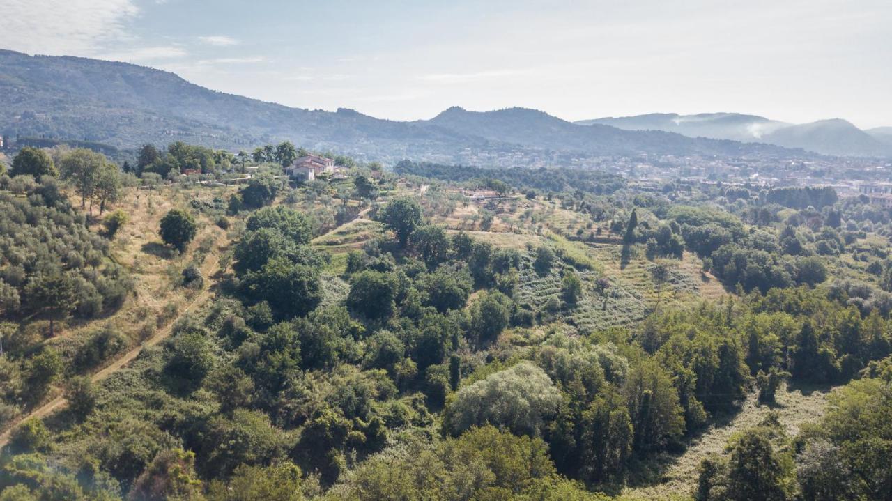 Terre di Cocomo Borgo a Buggiano Eksteriør billede