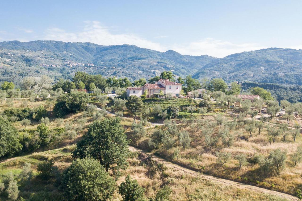 Terre di Cocomo Borgo a Buggiano Eksteriør billede