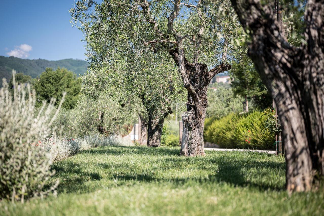 Terre di Cocomo Borgo a Buggiano Eksteriør billede